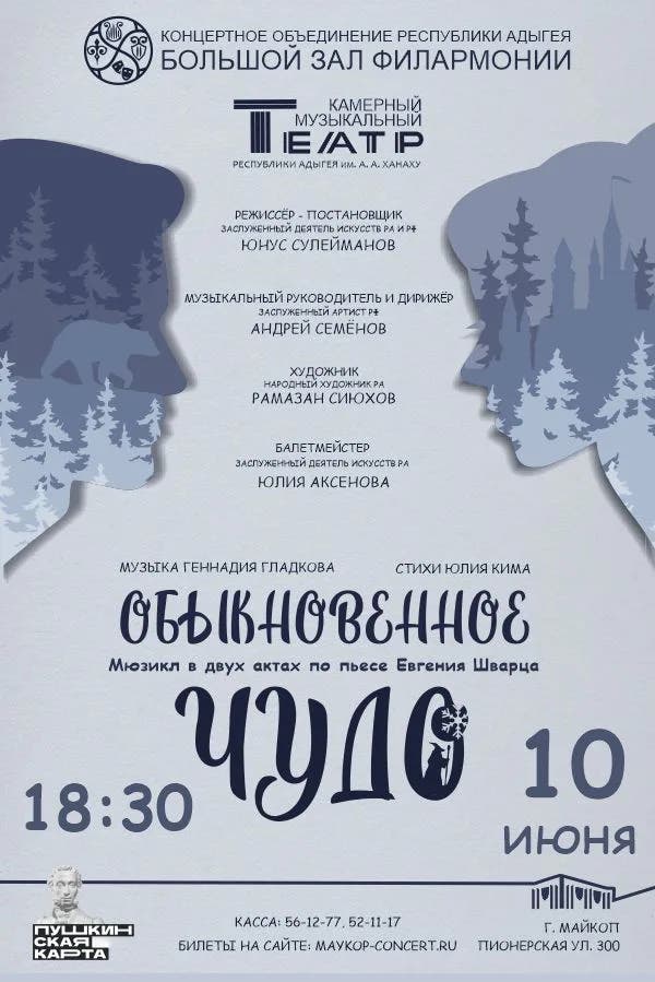 Афиша Мюзикл 
